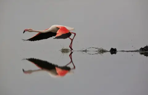 Namibia_WalvisBay_122.jpg