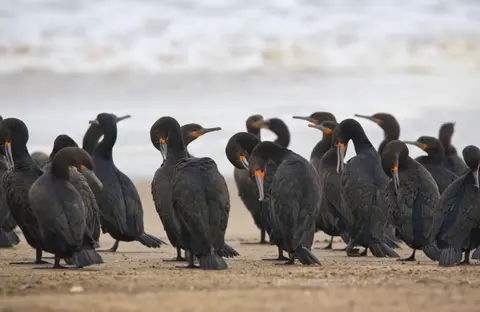Namibia_WalvisBay_137.jpg