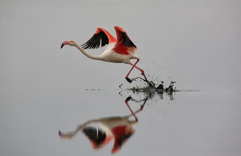 Namibia_WalvisBay_139.jpg