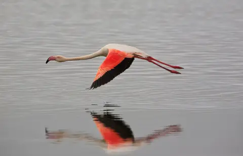 Namibia_WalvisBay_140.jpg