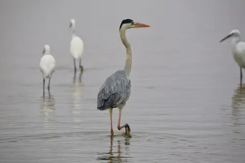 Namibia_WalvisBay_142.jpg