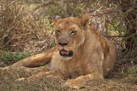 Südafrika_105.jpg
