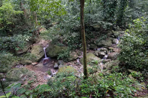 Honduras2119.JPG