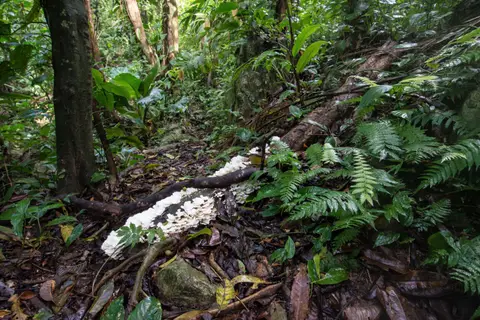 Honduras2133.JPG