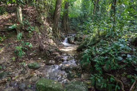 Honduras2157.JPG