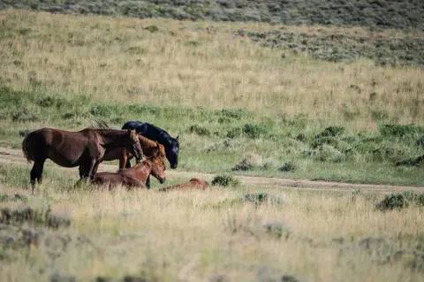 USA2024-23-1140.JPG
