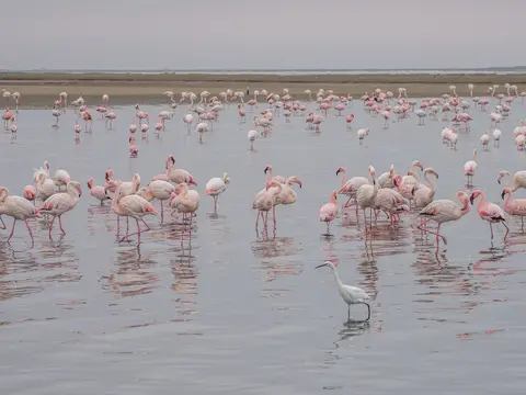 k-Namibia2019(148).jpg
