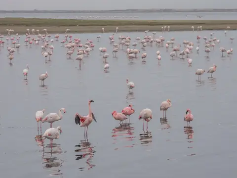 k-Namibia2019(149).jpg