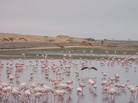 k-Namibia2019(150).jpg