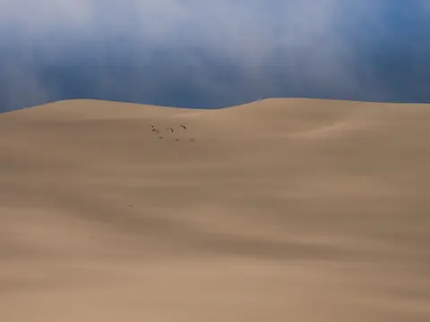 k-Namibia2019(166).jpg