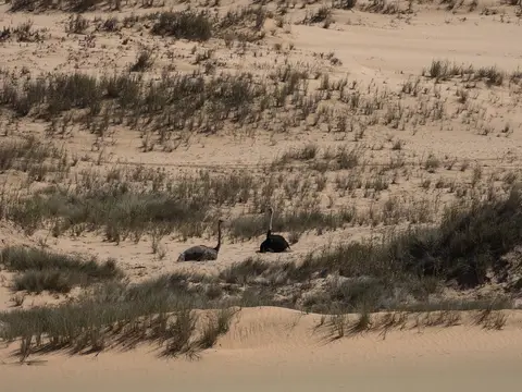 k-Namibia2019(170).jpg