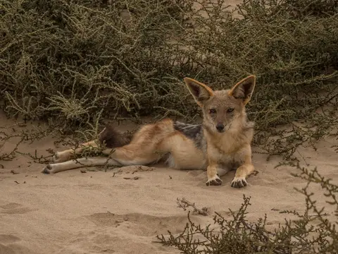 k-Namibia2019(175).jpg