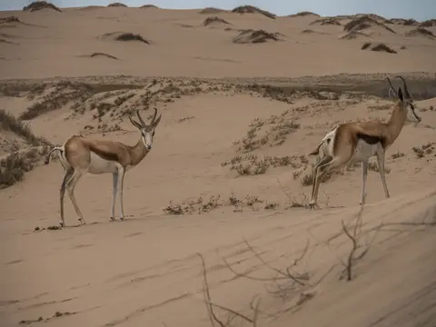 k-Namibia2019(179).jpg