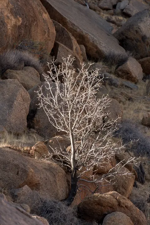_NAM5493.JPG