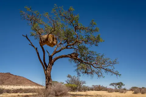 _NAM5533-Bearbeitet.JPG
