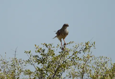 DSC00104.JPG