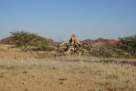 DSC09805.JPG