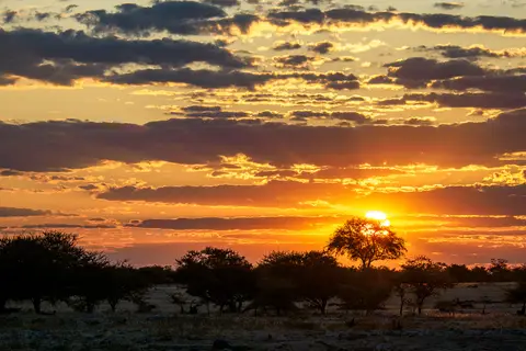 20220515_Namibia_Ulli_EM5M3_2016.jpg