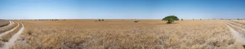 20220917-IMG_4199-Pano.jpg
