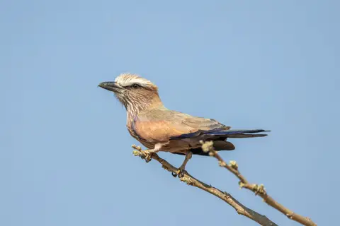 20220925-IMG_4592.jpg
