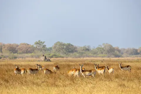 20220926-IMG_4853.jpg