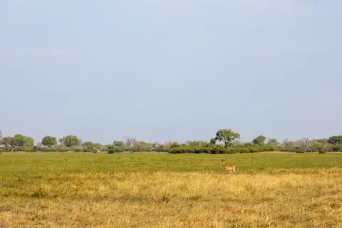 20220929-IMG_6198.jpg