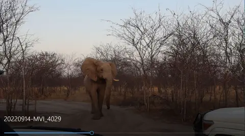Elefant_im_Camp.JPG