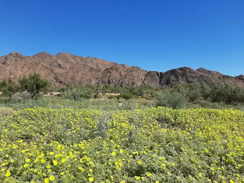 20220411_121816.jpg