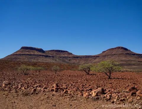 P6041906-Namibia-Damaraland-1536x1174.jpg