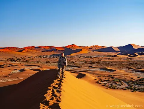 P6110060-Sossusvlei-Big-Daddy.jpg