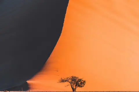 0H7A0063.jpg
