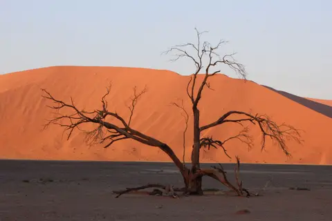 (221).JPG