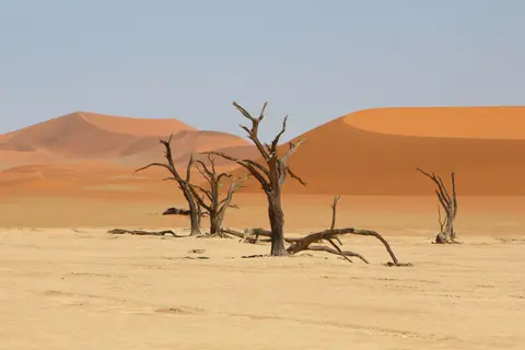 (267).JPG