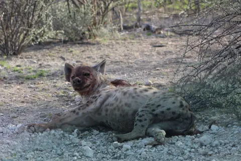 (399).JPG