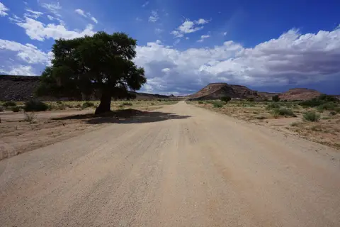 (89).JPG