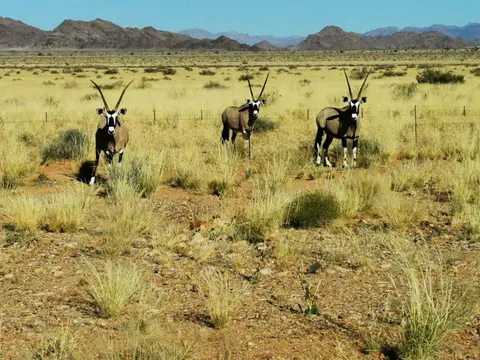 IMG_20220619_154337.jpg