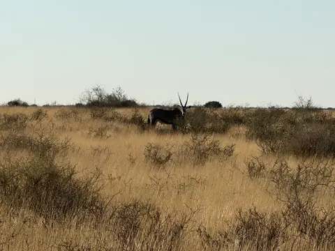 IMG_5532.jpeg