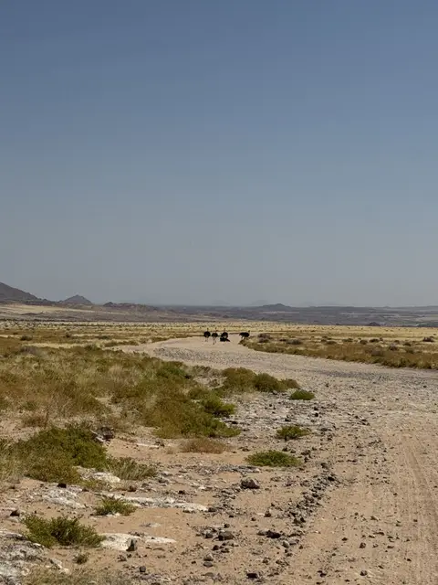 IMG_6753-2.jpeg