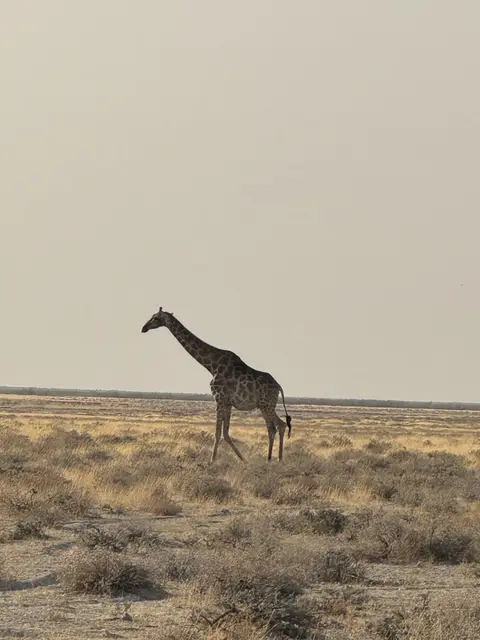 IMG_7188-2.jpeg