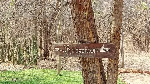 20240911_123917.jpg