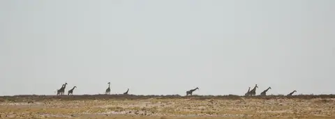 DSC_0211.JPG