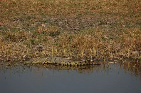 DSC_0517.JPG