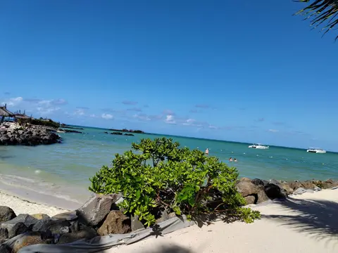 IMG_20241205_152848.jpg