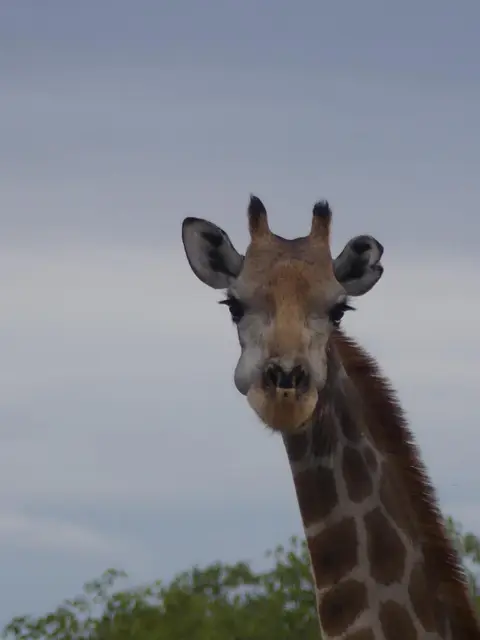 Namibia22Lumix(355).JPG