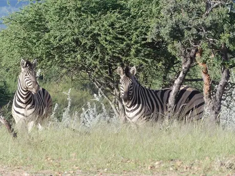 Namibia22Lumix(530).JPG