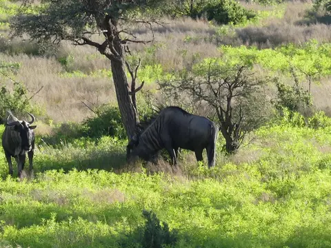 Namibia22Lumix(70).JPG