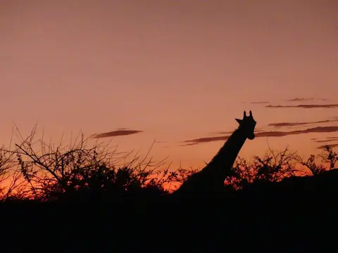 Namibia22Lumix(758).JPG