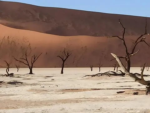 NamibiaSilviaHandy(588).JPG