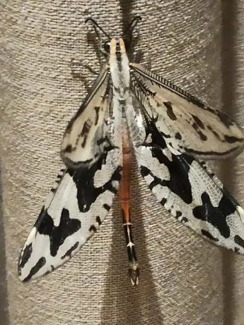 NamibiaSilviaHandy(640).JPG
