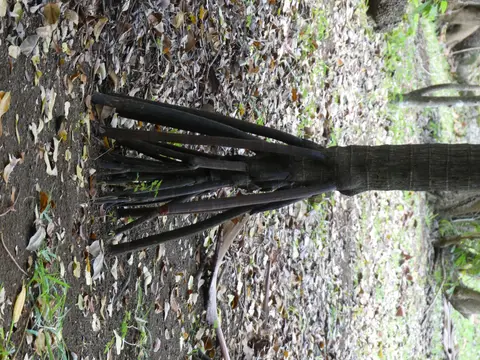 P1000549.JPG
